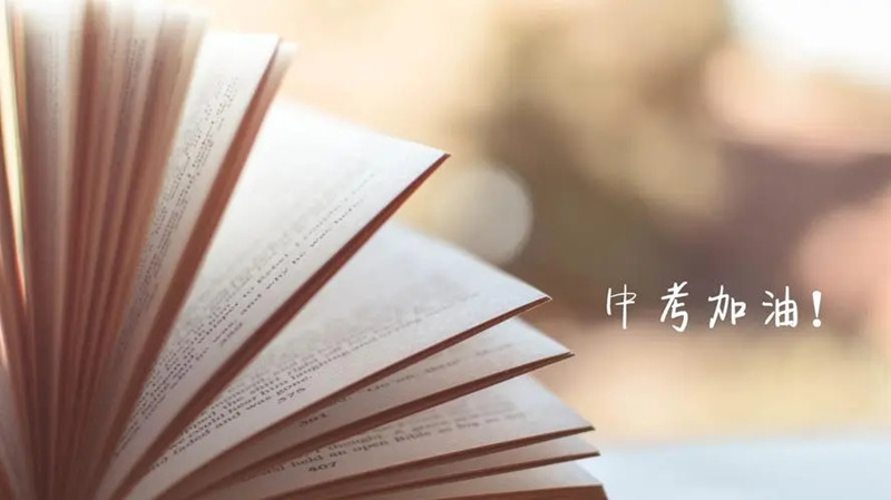 兰州香蕉三级网站板厂家
